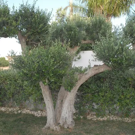 Oasi Tortuga Appartamento Mazara del Vallo